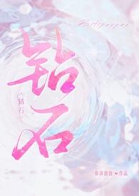 钻石(np) 作者鼻涕泡泡.txt