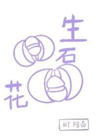 生石花换盆正确方法