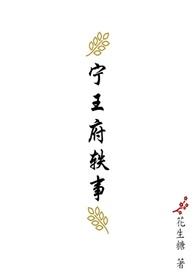 宁王府 红楼梦