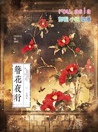 簪花夜行gl讲的什么