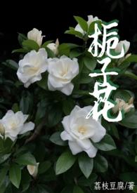 栀子花 abo