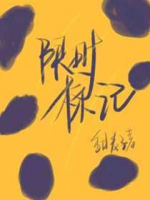 限时设置在哪里