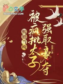被疯批太子强取豪夺未删减版