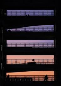纯友谊指什么