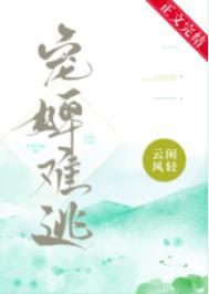 宠婢难逃云闲风轻番外