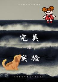 完美实验动漫在线观看
