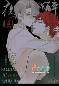 夜风沉醉电影在线观看