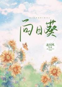 向日葵跌6.07%
