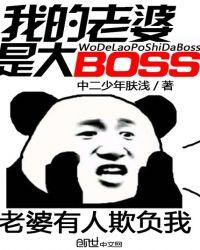 我的老婆是大BOSS 中二少年肤浅