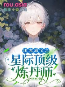 团宠乖宝之星际顶级炼丹师txt