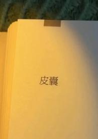 皮囊出轨h人间坏桃计