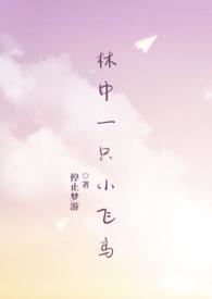 林中一只小飞鸟番外