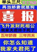 举头三尺有亡夫电视剧