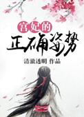 宫妃的正确姿势讲的是什么
