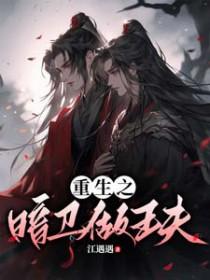 重生之暗卫做王夫最新完整章节列表