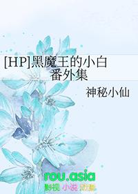 hp黑魔王推荐