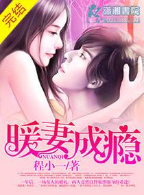 暖妻成瘾简介