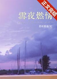 雪夜燃情笔趣阁