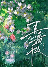 弄蔷薇芒厘晋江