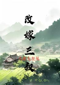 嫁三叔无错版