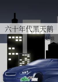 六十年代黑天鹅326