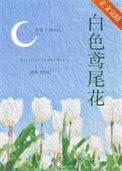 纯白的鸢尾花