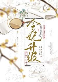 清穿之令贵妃晋升记免费全文