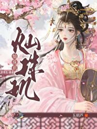 灿珠玑番外篇