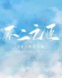 不二之臣审美