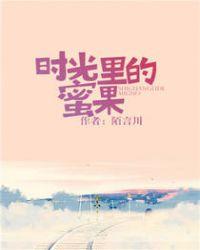 时光里的蜜果出书版