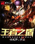 王者荣耀盾是什么
