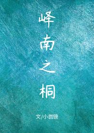 峄南之桐1v1小圆镜