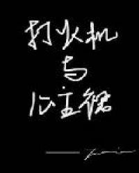 打火机与公主裙完整版阅读