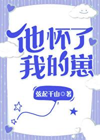 他怀了我的孩子英文