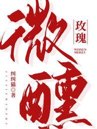 微醺讲的什么