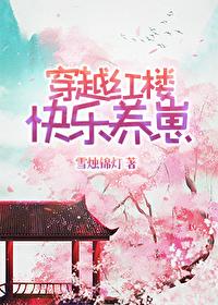 穿越之红楼