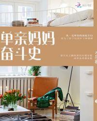 单亲妈妈奋斗记连续剧