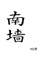 南墙全文阅读知安