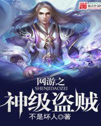 网游之极品盗贼