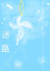 言情迷路