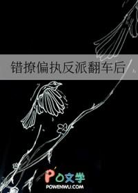 错撩偏执反派翻车后by二十一挽