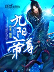 九阳帝尊陆玄几个女人