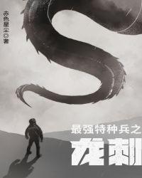 最强特种兵之龙刺全集