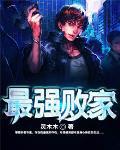 最强败家子免广告版