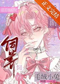 毛绒兔公仔