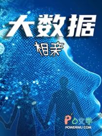 大数据相亲是什么意思