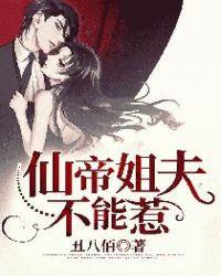 仙帝姐夫不能惹 丑八百