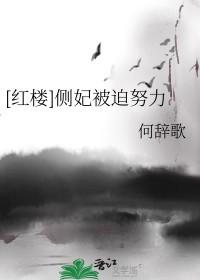 侧妃文推荐