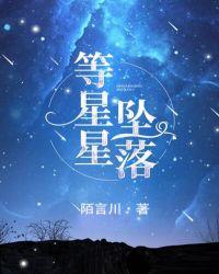 等星星坠落讲什么