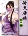 倚天后传之再起风云